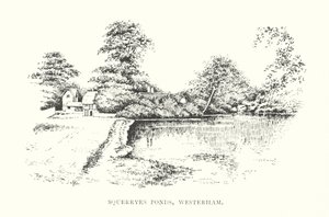 Squerryes Ponds, Westerham