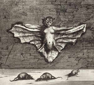 Een vleermuis bekend als een vliegende kat, uit China Illustrated door Athanasius Kircher (1601-80) 1667 door Dutch School