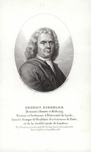 Herman Boerhaave