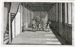 Bomen verplaatsen naar de tuin voor de zomer, uit De Nederlandze Hesperides door Jan Commelin, gepubliceerd in 1676 door Dutch School