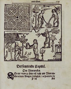 Bomen planten, uit De Nederlandse Tuinman door Johann van der Groen, gepubliceerd 1699 door Dutch School