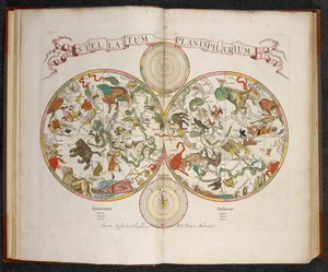Stellatum Planisphaerium, Een planisfeer met tekens van de dierenriem