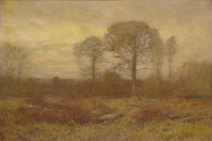November, 1904-1905