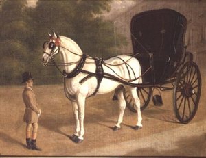 Een Grijs Paard en Cabriolet met Knecht door E.M. Fox