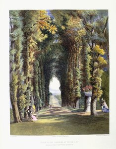 Vista in de tuinen van Teddesley, zetel van de Eerwaarde Heer Hatherton, 1857 door E. Adveno Brooke