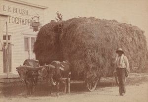 Albumine afdruk van een man met een volle hooiwagen door E. K. Blush