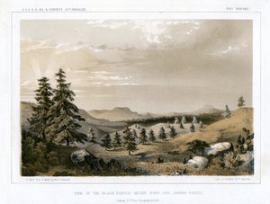 Het Zwarte Woud Mount Hope en Sierra Prieta, VS