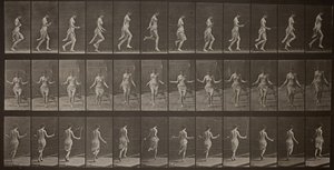 Dierenlocomotie, Plaat 174, 1887 door Eadweard Muybridge
