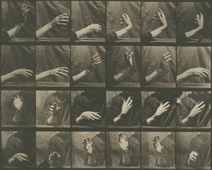 Dierlijke Voortbeweging, Plaat 535 door Eadweard Muybridge