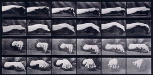 Een bewegingsstudie van een hand, ca. 1872-1885 door Eadweard Muybridge