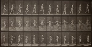 Voortbeweging van dieren, plaat 174 door Eadweard Muybridge