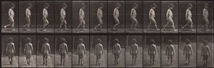 Animal Locomotion, Plaat 467 door Eadweard Muybridge