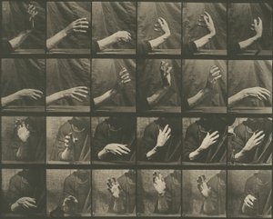 Voortbeweging van dieren, plaat 535 door Eadweard Muybridge