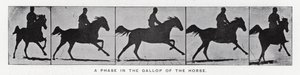 Eadweard Muybridge: Een fase in de galop van het paard (zw/w foto)