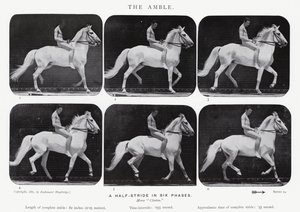 De draf door Eadweard Muybridge