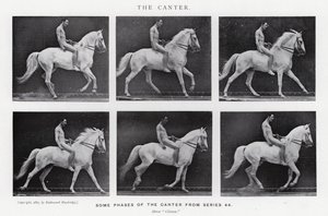 Eadweard Muybridge: De Draf door Eadweard Muybridge