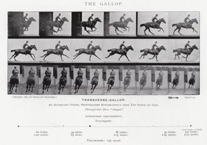 Eadweard Muybridge: De galop (zwart-wit foto) door Eadweard Muybridge