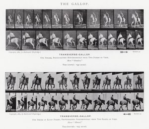 De Galop door Eadweard Muybridge