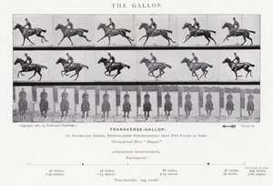 Eadweard Muybridge: De Galop door Eadweard Muybridge