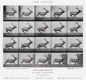 Eadweard Muybridge: De galop door Eadweard Muybridge