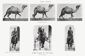 De rack door Eadweard Muybridge