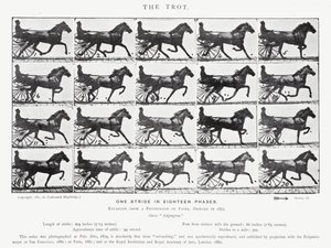 De Trot door Eadweard Muybridge