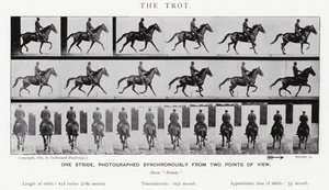 Eadweard Muybridge: De draf