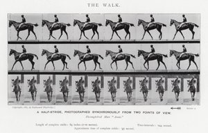 Eadweard Muybridge: De wandeling (zwart-wit foto) door Eadweard Muybridge