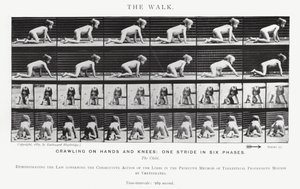 Eadweard Muybridge: De wandeling (zwart-wit foto) door Eadweard Muybridge