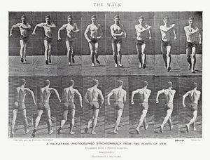 Eadweard Muybridge: De Wandeling (zw/w foto) door Eadweard Muybridge