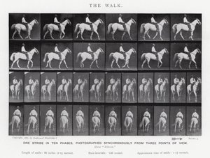 Eadweard Muybridge: De wandeling door Eadweard Muybridge