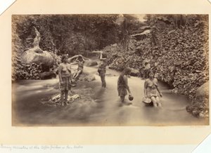 Avondrecreatie van de koffieplukkers, San Isidro, van de Pacifische kust van Midden-Amerika en Mexico; de Isthmus van Panama; Guatemala; en de teelt en verzending van koffie
