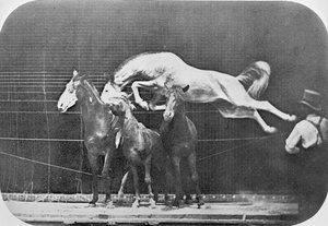 Springen over drie paarden...kastanjebruin paard Hornet, uit 
