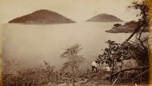 Perico en Flamenco - van het eiland Naos, Panama door Eadweard Muybridge