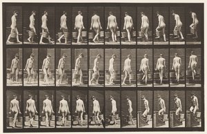 Plaat 104. Draaien en trap oplopen, emmer water in elke hand, 1872-1885 door Eadweard Muybridge