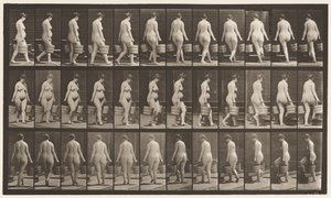 Omdraaien om trap op te lopen, emmer water in elke hand door Eadweard Muybridge