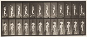 Plaat 115. Een helling afgaan met handen gevouwen vooraan door Eadweard Muybridge