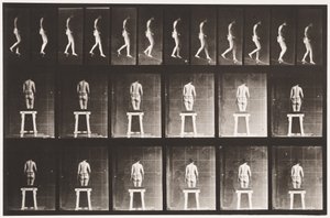 Plaat 118. Helling Afdalen door Eadweard Muybridge