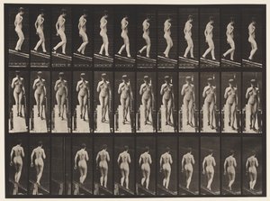 Plaat 119. Helling Afdalen, Rechterhand op Borst (Schoenen) door Eadweard Muybridge