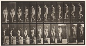 Plaat 137. Trap aflopen, omdraaien door Eadweard Muybridge