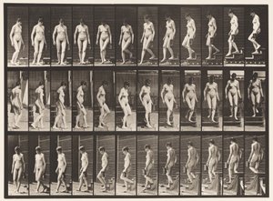 Plaat 138. Trap aflopen, omdraaien; Kruik in linkerhand door Eadweard Muybridge