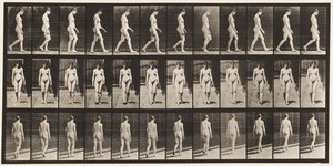 Plaat 13. Wandelen door Eadweard Muybridge