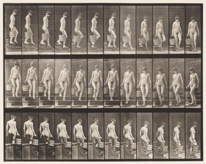 Plaat 145. Trap aflopen; draaien, emmer water in rechterhand, 1872-1885 door Eadweard Muybridge