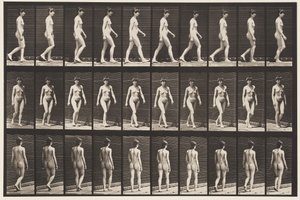 Lopen door Eadweard Muybridge