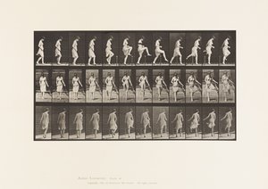 Plaat 181. Over een hek stappen door Eadweard Muybridge