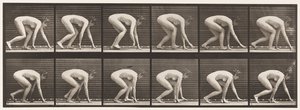 Plaat 183. Lopen op handen en voeten door Eadweard Muybridge