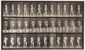 Plaat 18. Wandelen, linkerhand over buik, 1872-1885 door Eadweard Muybridge