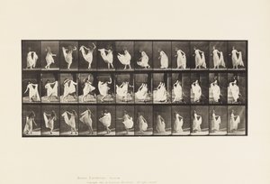 Plaat 193. Dansen (fancy)