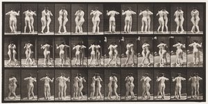 Plaat 196. Wals Dansen, Twee Modellen