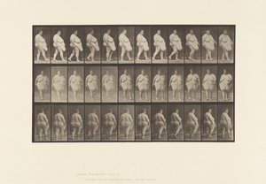 Plaat 19. Wandelen, Beginnen met Omdraaien door Eadweard Muybridge